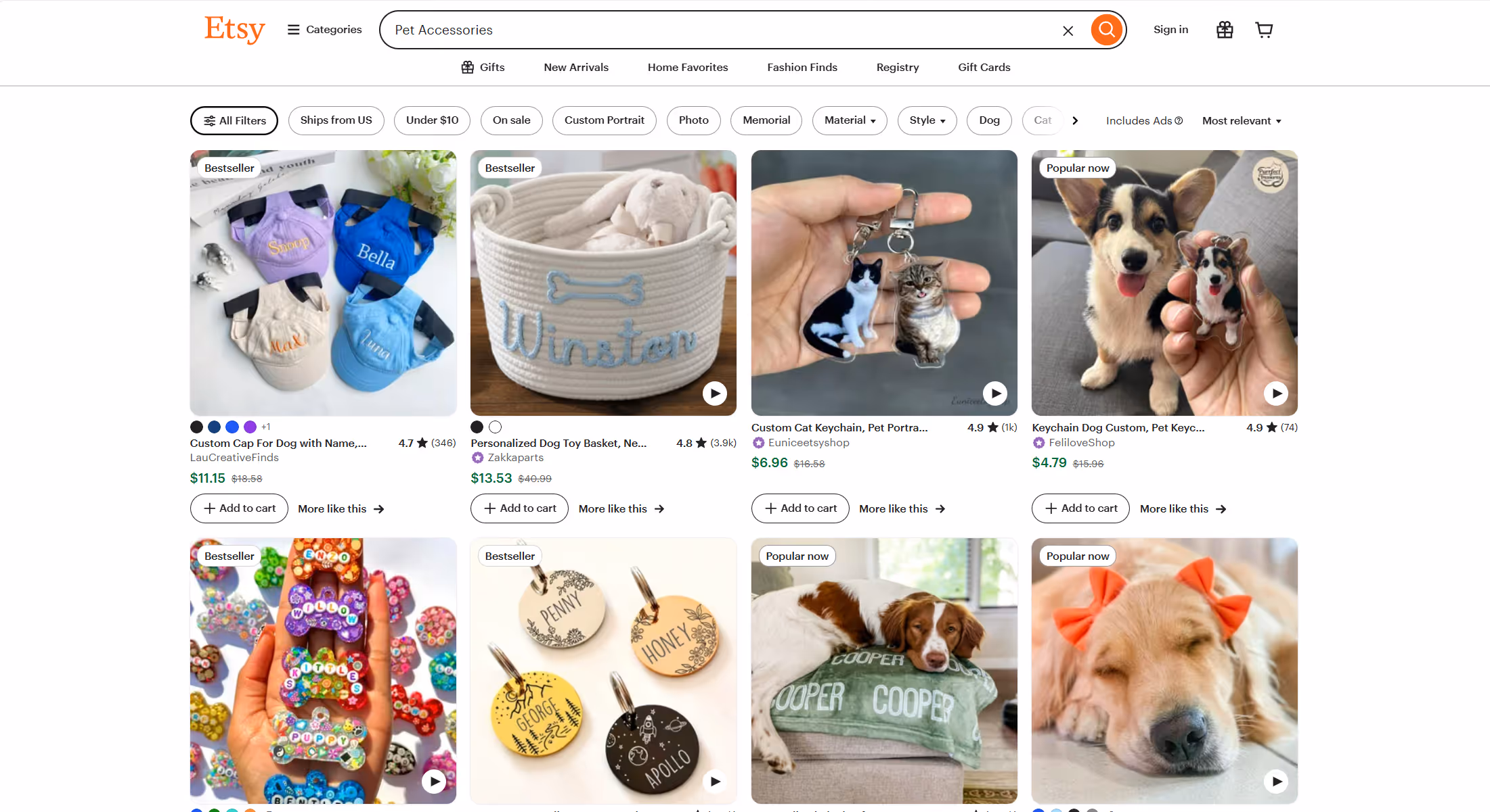 Pet Accessories