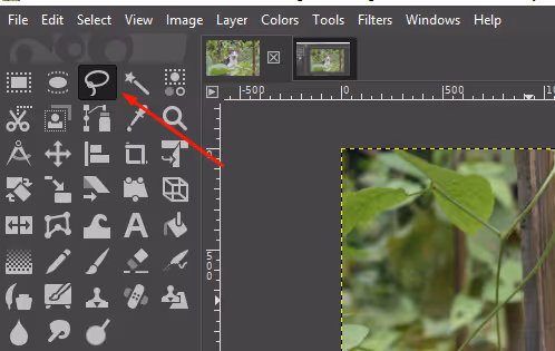 free-select-tool-in-grimp