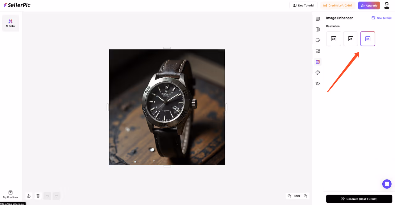 Select Your Desired Output Resolution